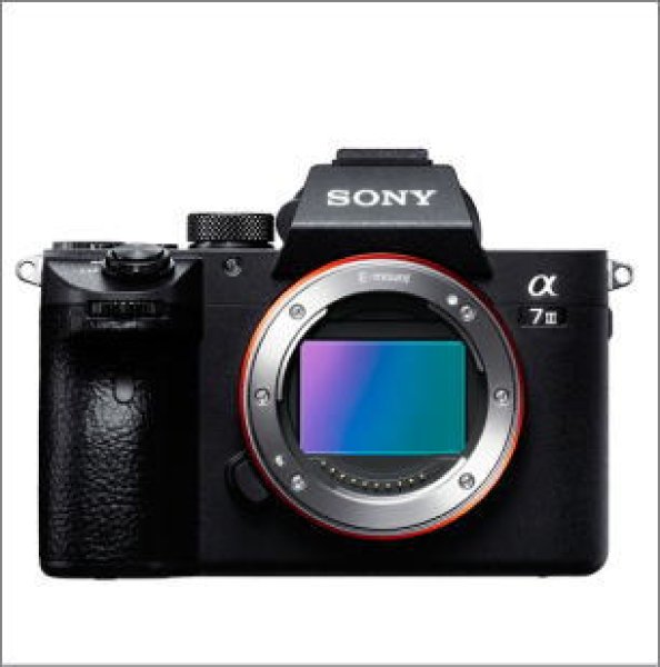 Photo1: SONY α7 III（ILCE-7M3）camera (1)